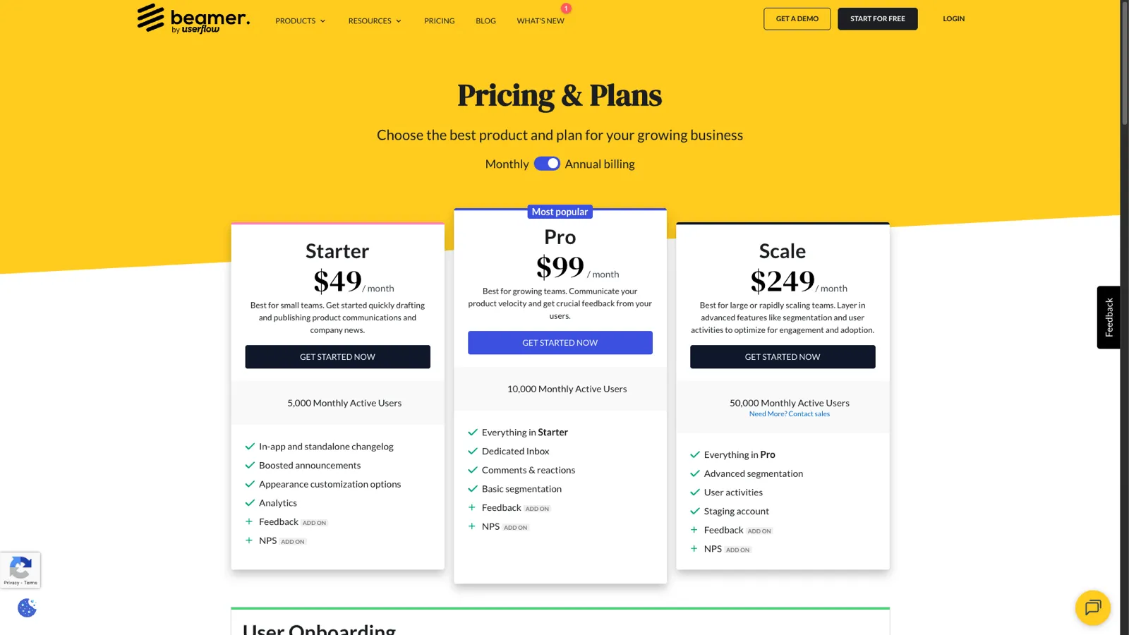 Beamer pricing page