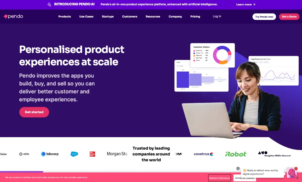 Pendo interface screenshot